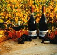 Craigow Vineyard - Attractions Sydney