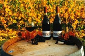 Craigow Vineyard - Attractions Sydney 0