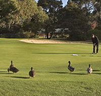 Royal Hobart Golf Club - Attractions Sydney