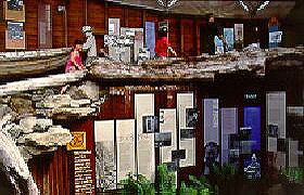 West Coast Visitor Information And Booking Centre - Attractions Sydney 0