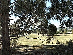 Cygnet Public Golf Course - Attractions Sydney 0
