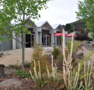 Tin Dragon Interpretation Centre and Cafe - Attractions Sydney