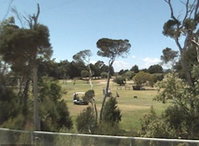 Book Greens Beach Accommodation Vacations Attractions Sydney Attractions Sydney