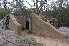  Attractions Sydney