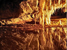 Marakoopa Cave - Attractions Sydney 0