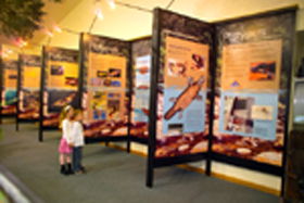 The North West TAS Attractions Sydney