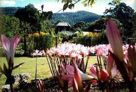 Blueberry Cottage Open Gardens - Attractions Sydney 0