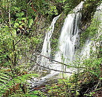 Hogarth Falls - Attractions Sydney