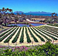 Kate's Berry Farm - Attractions Sydney