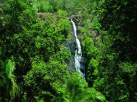 Montville QLD Attractions Sydney