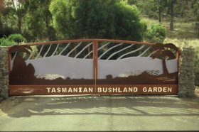 Tasmanian Bushland Garden - Attractions Sydney 0