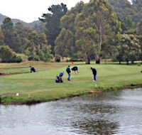 Penguin Golf Course - Attractions Sydney
