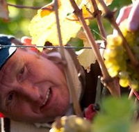 Puddleduck Vineyard - Attractions Sydney