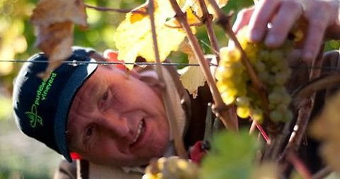 Puddleduck Vineyard - Attractions Sydney 0