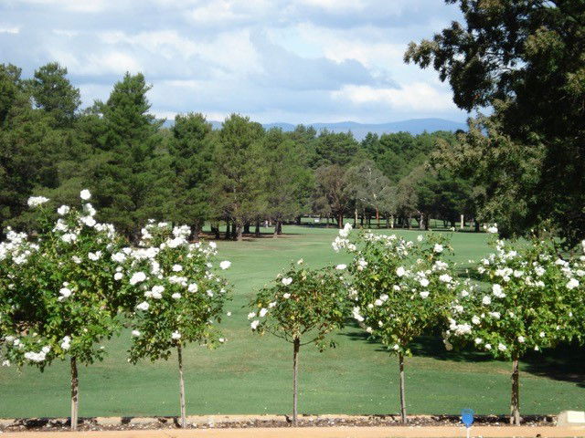 Central Canberra ACT Attractions Sydney