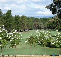 RMC Golf Club - Attractions Sydney