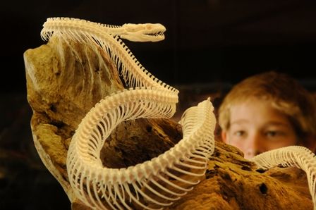 Araluen Cultural Precinct - Attractions Sydney 4