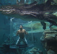 Crocosaurus Cove - Attractions Sydney
