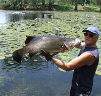 Barra Feeding - Attractions Sydney