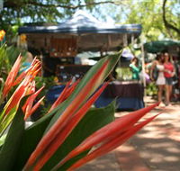 Nightcliff Markets - Attractions Sydney