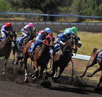 Alice Springs Turf Club - Attractions Sydney