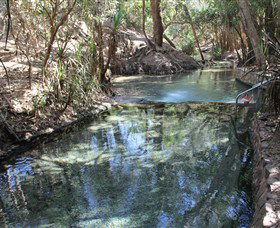 Katherine Hot Springs - Attractions Sydney 0
