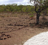 Wurrwurrwuy Garanhan Macassan Beach Interpretive Walk - Attractions Sydney