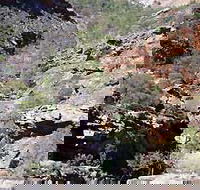Serpentine Chalet Bush Camping Area - Attractions Sydney