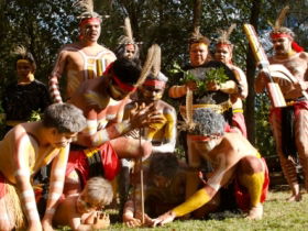 Attractions Sydney
