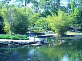 Summit Track - Attractions Sydney 0