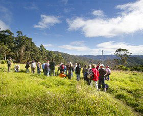 Springbrook QLD Attractions Sydney