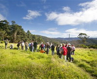 Book Springbrook Accommodation Vacations Attractions Sydney Attractions Sydney