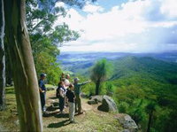 Gold Coast Hinterland Great Walk