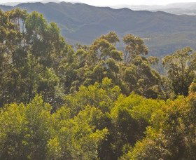 Elaman Creek QLD Attractions Sydney