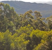 Conondale National Park - Attractions Sydney