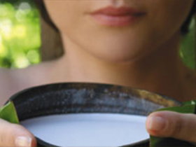 Doonan QLD Attractions Sydney