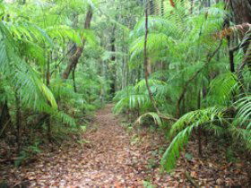Mapleton QLD Attractions Sydney