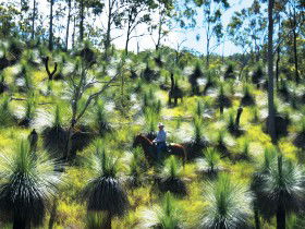 Oakview QLD Attractions Sydney
