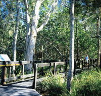 Kinaba Track - Attractions Sydney