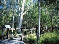 Book Noosa Heads Accommodation Vacations Attractions Sydney Attractions Sydney