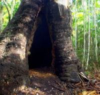 Tewantin National Park - Attractions Sydney