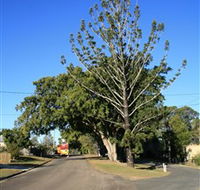 Anzac Avenue Memorial Trees Beerburrum - Attractions Sydney