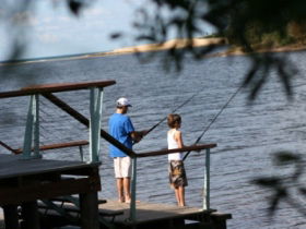 Currimundi Lake (Kathleen McArthur) Conservation Park - Attractions Sydney 0