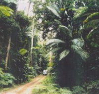 Conondale Great Walk - Attractions Sydney