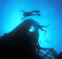 Ex HMAS Brisbane Dive Site - Attractions Sydney