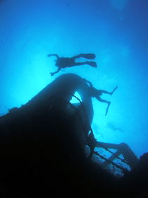 Ex HMAS Brisbane Dive Site - Attractions Sydney 0