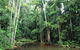 Mount Allan Trail - thumb 0