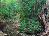 Mudlo National Park