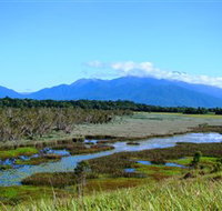 Eubenangee Swamp National Park - Attractions Sydney