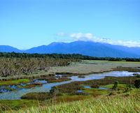 Book Babinda Accommodation Vacations Attractions Sydney Attractions Sydney